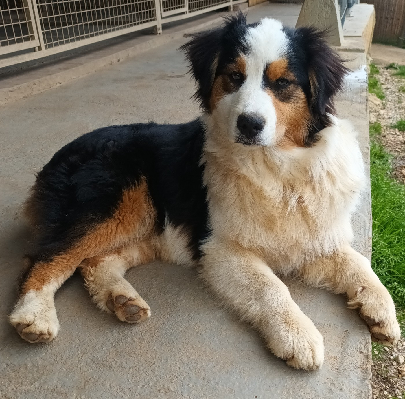 Udjy De L'eden D'orches